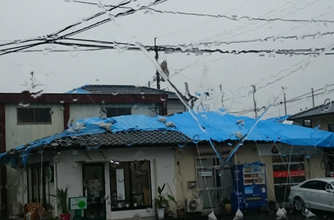 ブルーシートで雨をしのぐお店