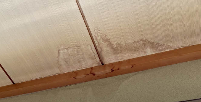 屋根からの雨漏り